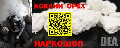 ГАЛЛЮЦИНОГЕННЫЕ ГРИБЫ Кинель