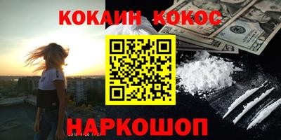 стафф Кингисепп