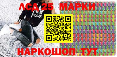 стафф Кингисепп