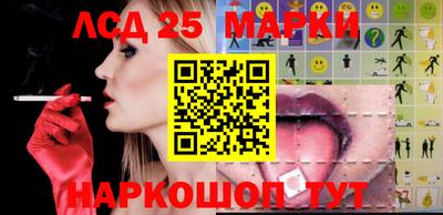 стафф Кингисепп
