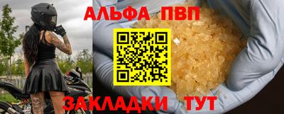 стафф Кингисепп