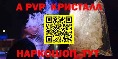 стафф Кингисепп