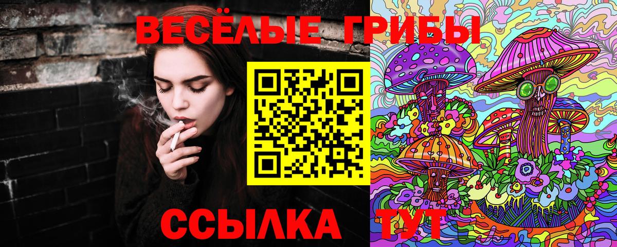 Псилоцибиновые грибы MAGIC MUSHROOMS  Вход с VPN  Улан-Удэ 