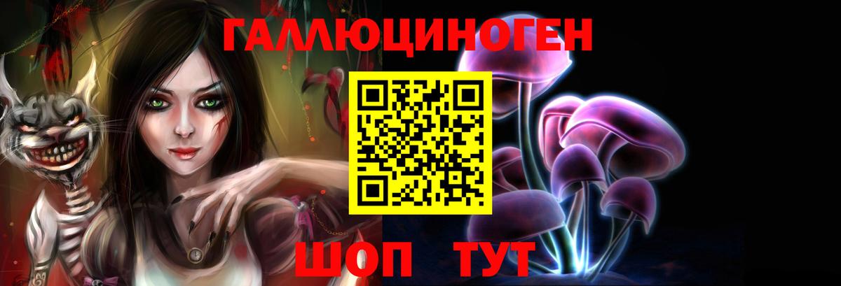 Псилоцибиновые грибы мицелий Улан-Удэ